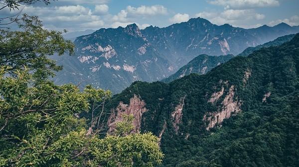 星巴克父母重疾險(xiǎn)靠譜嗎？怎么報(bào)銷？