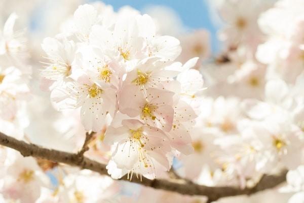 百萬醫(yī)療保險(xiǎn)產(chǎn)品推薦哪些？多少錢？