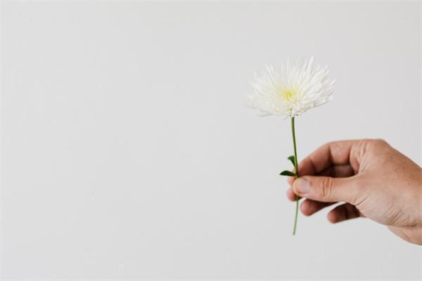 眾安保險(xiǎn)投保了怎么取消，有什么好處