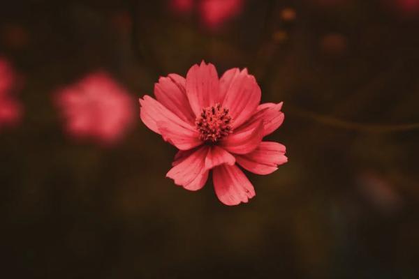 房屋意外險(xiǎn)一年多少錢？怎么買？