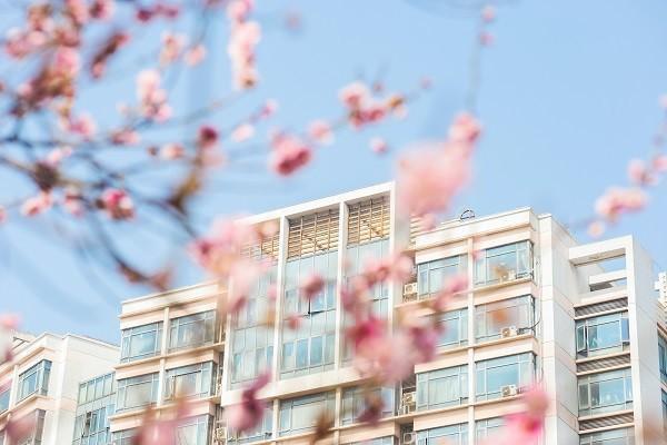深圳學(xué)生5元意外險(xiǎn)保障范圍是什么？深圳學(xué)生5元意外險(xiǎn)怎么買？