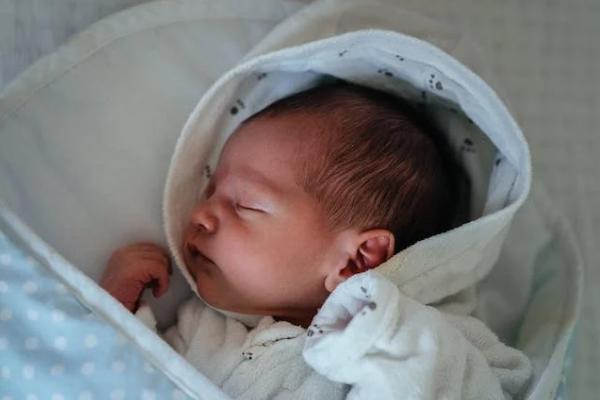 人保在線如何退保，退保需要哪些材料呢