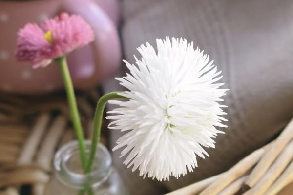 大額醫(yī)療補充保險什么意思