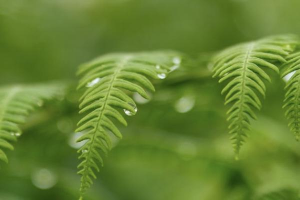 意外險(xiǎn)喝酒了給理賠嗎？意外險(xiǎn)喝酒了怎么賠？