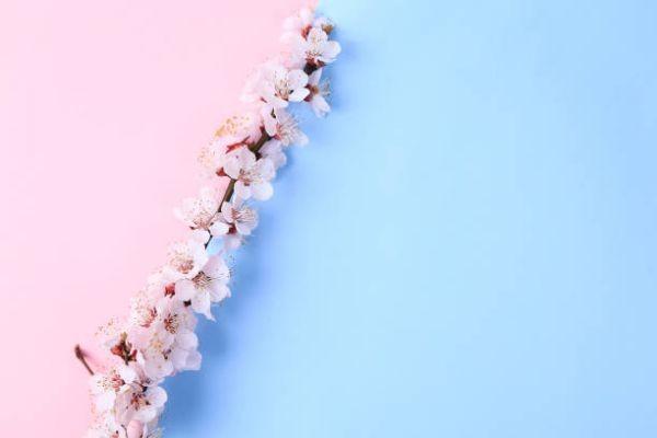 眾安保險(xiǎn)退保怎么操作？退保可以退多少錢？