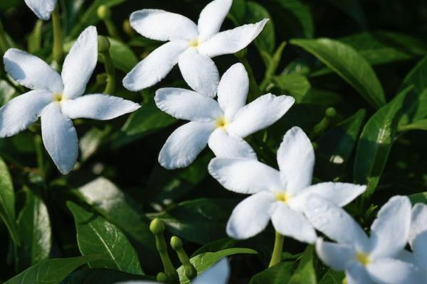學(xué)生意外保險怎么理賠？理賠需要哪些資料？