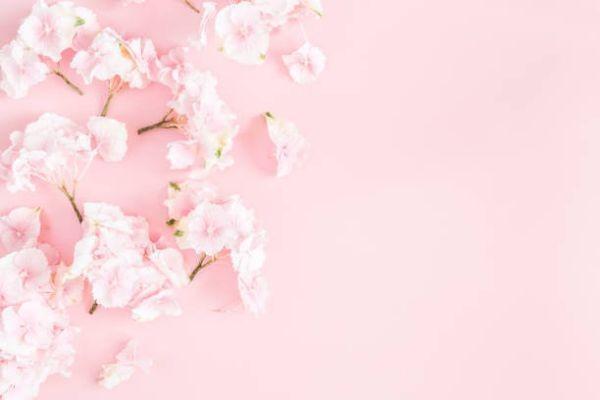 英國保誠保險怎么樣？信用評級怎么樣？