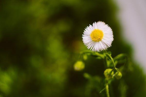短期高空作業(yè)意外保險推薦哪一款？保費是多少？