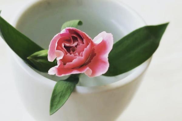 平安金管家里怎么退款？退保能退多少？