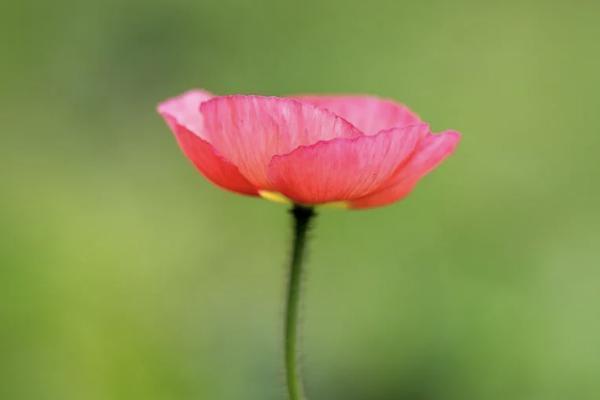 英大人壽保險靠譜嗎？一年多少錢？