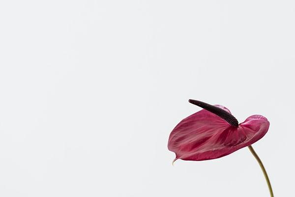 泰康暢贏人生保險(xiǎn)退保能退多少，流程是怎樣的