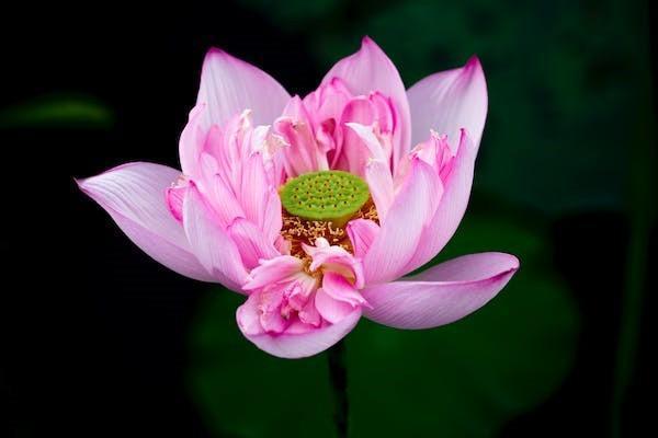醫(yī)保在香港可以報(bào)銷嗎，報(bào)銷范圍有哪些