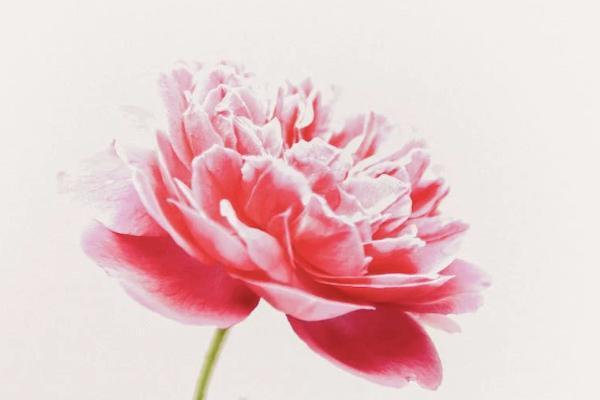 腦溢血算意外保險(xiǎn)嗎？意外保險(xiǎn)報(bào)銷范圍有哪些？