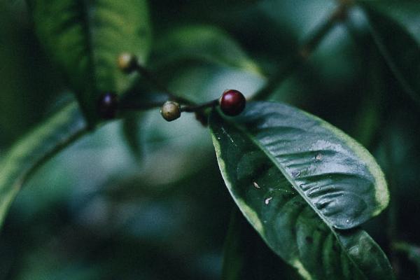 培訓機構(gòu)給學員交意外保險是家長買還是機構(gòu)買？合法嗎？