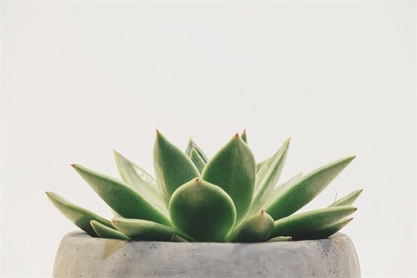 平安百萬綜合意外險怎么退，退保要準備什么材料呢