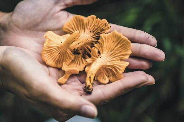 買(mǎi)了意外保險(xiǎn)死了怎么賠償？能賠多少？