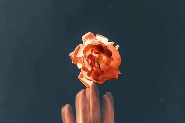 安全生產(chǎn)責(zé)任險和意外險的區(qū)別