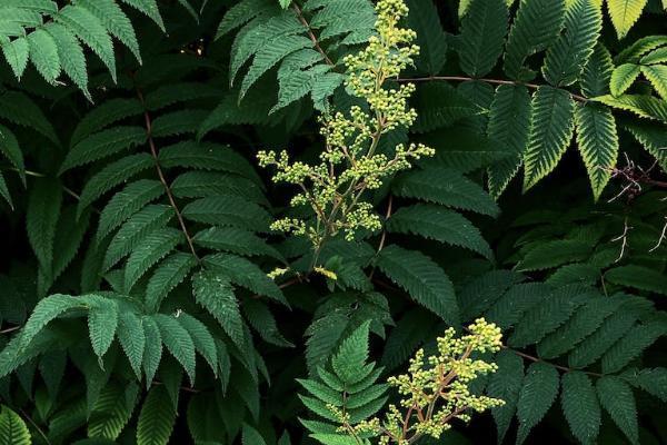 保險能退保嗎重新投保多少錢？退保的金額是多少呢？