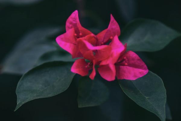 境外回香港在哪里買保險？香港買保險有什么好處呢？