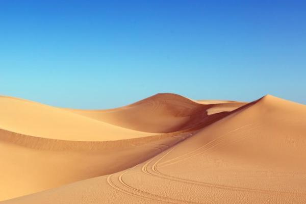 境外旅游意外險哪家公司好？理賠流程是什么？