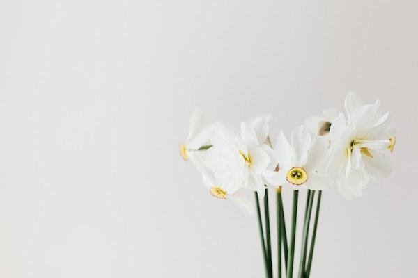 健康源2019重疾險(xiǎn)保額是多少？怎么買？