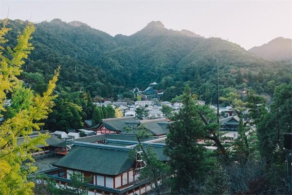 保單合同找不到了可以退保嗎，怎么退