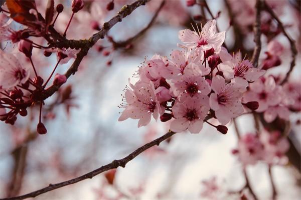 e生平安百萬醫(yī)療怎么退保，退保需要哪些材料