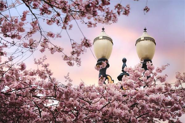2017金佑人生a款分紅型怎么退保，要準備什么材料呢