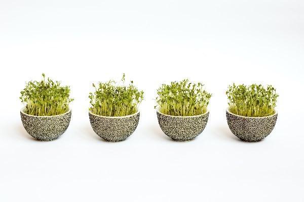 重疾險一定要和壽險一起買嗎，有什么保障呢