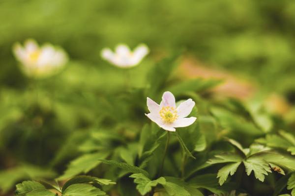 多少歲之前買重疾險(xiǎn)好呢？買重疾險(xiǎn)要怎么買呢？