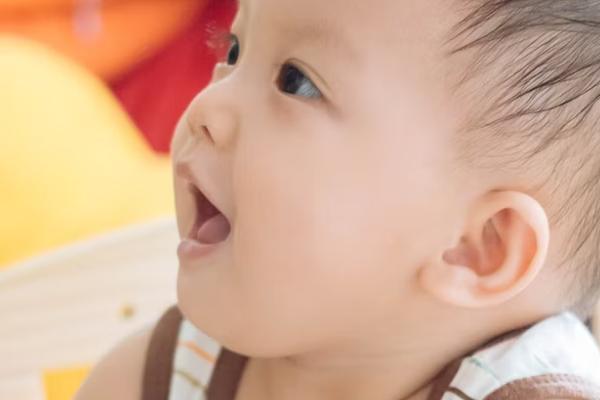 香港學(xué)生醫(yī)療保險如何報銷，報銷需要哪些材料