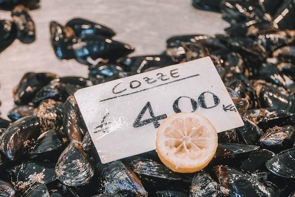 意外險理賠復(fù)印件可以嗎？理賠需要什么資料？