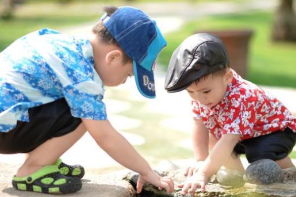 新生兒重疾買哪家保險好，多少錢一年