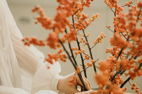 女的沒有社保男方有可以報生育險嗎？怎么報生育險？
