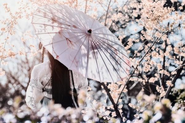 女方?jīng)]有生育險(xiǎn)男方有怎么報(bào)生育險(xiǎn)？可以報(bào)銷多少？