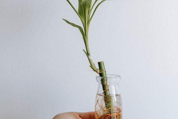 平安保險(xiǎn)平安福重疾險(xiǎn)怎么樣？確診多久能理？賠