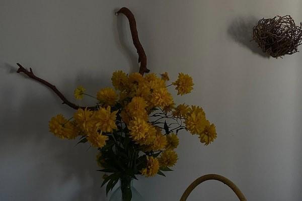 48歲交五險(xiǎn)合適嗎？交五險(xiǎn)自己要出多少錢？