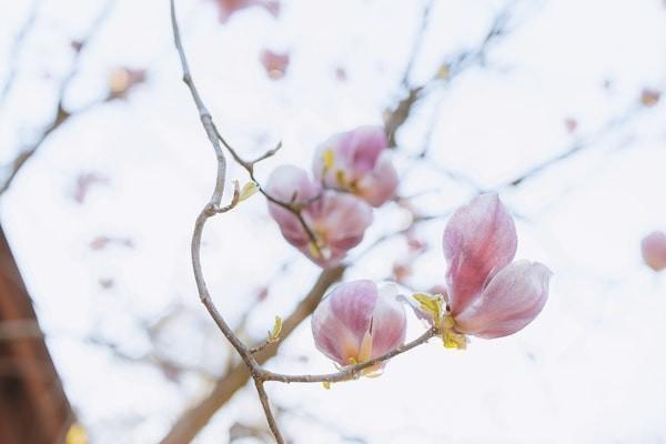 重疾險買一年還是終身？重疾險保一年和保終身的區(qū)別是什么？