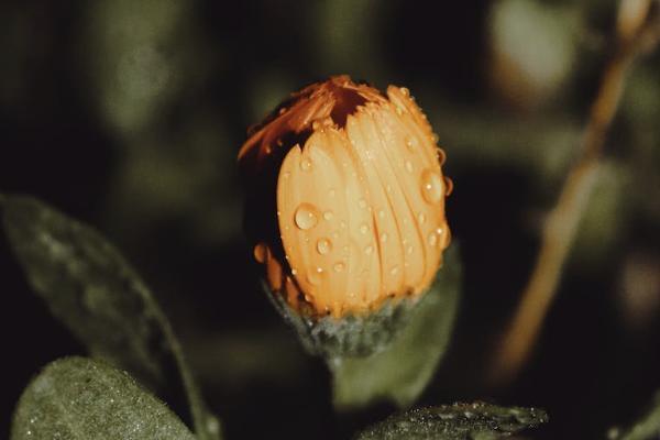 太平洋保險(xiǎn)要多少年才能退保？退保流程是怎樣的？
