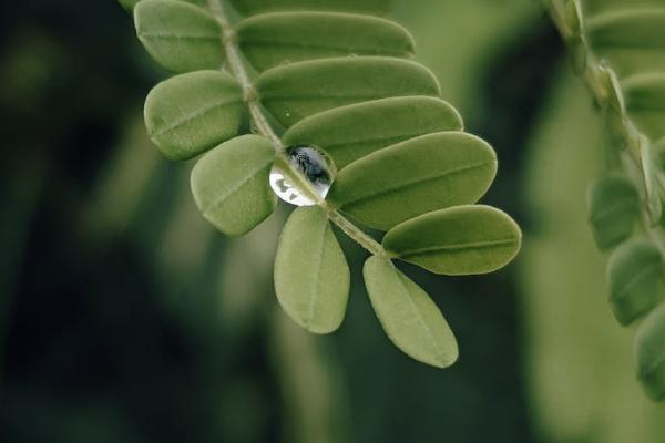 后悔了怎么全額退保？保險(xiǎn)退保要注意什么？