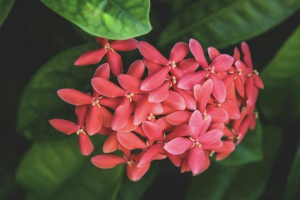 保險(xiǎn)中途退保怎么申請(qǐng)全額退款？保險(xiǎn)中途退保要準(zhǔn)備哪些資料？