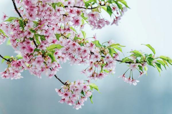 怎么能退眾安保險(xiǎn)？退眾安保險(xiǎn)需要什么材料？