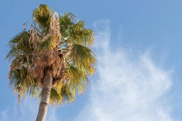 太平洋保險(xiǎn)二十年到期能取嗎？一年要交多少錢？