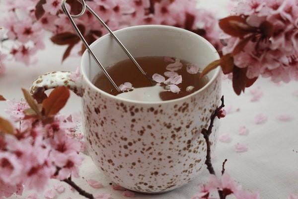急性闌尾炎學生保險能報銷嗎？學生保險報銷范圍有哪些？