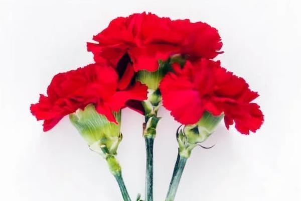 萬(wàn)能險(xiǎn)退保手續(xù)費(fèi)多少
