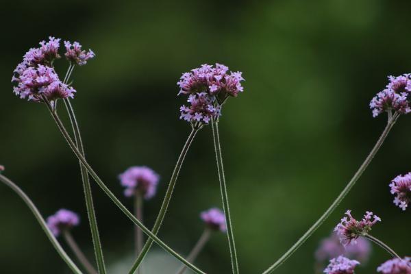 50歲以上保險推薦買什么，怎么買