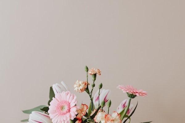 給孩子買的上學(xué)保險(xiǎn)叫什么？買什么保險(xiǎn)最好最劃算？