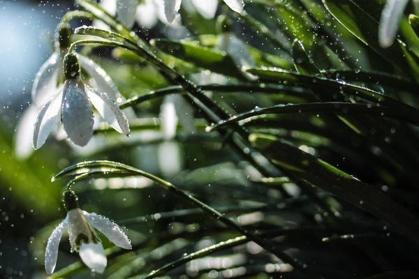 退休金怎么算的，退休金怎么領(lǐng)取