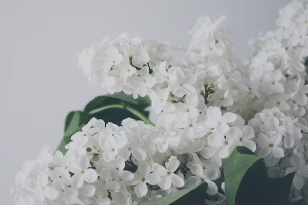 委托他人退保需要什么手續(xù)和證明，進(jìn)度如何查詢