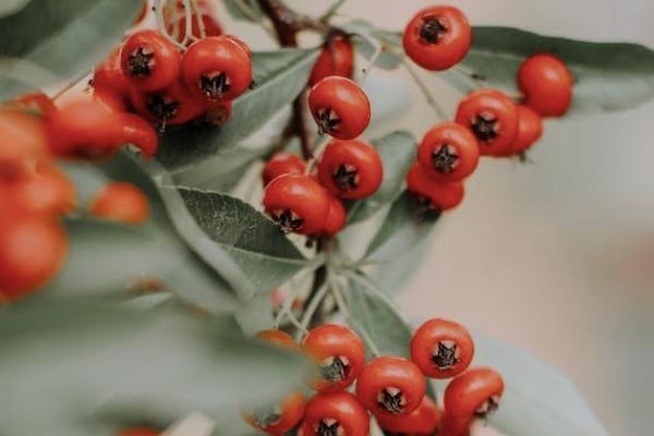 意外險哪家保險公司的比較好？保費(fèi)是多少？